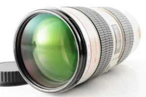 Canon Rf 70-200Mm F2.8L Is Usm Telephoto Zoom